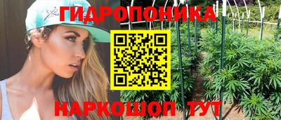 дмт Пушкино