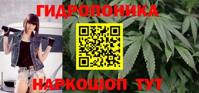 Альфа ПВП Обнинск