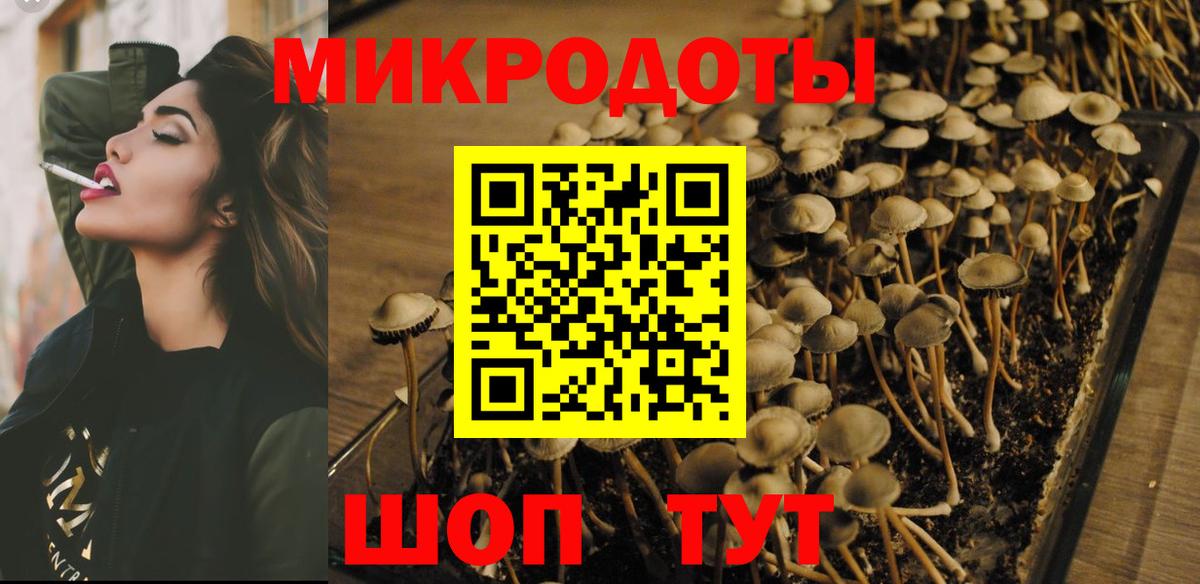 Георгиевск  Галлюциногенные грибы ЛСД  Вход с VPN 